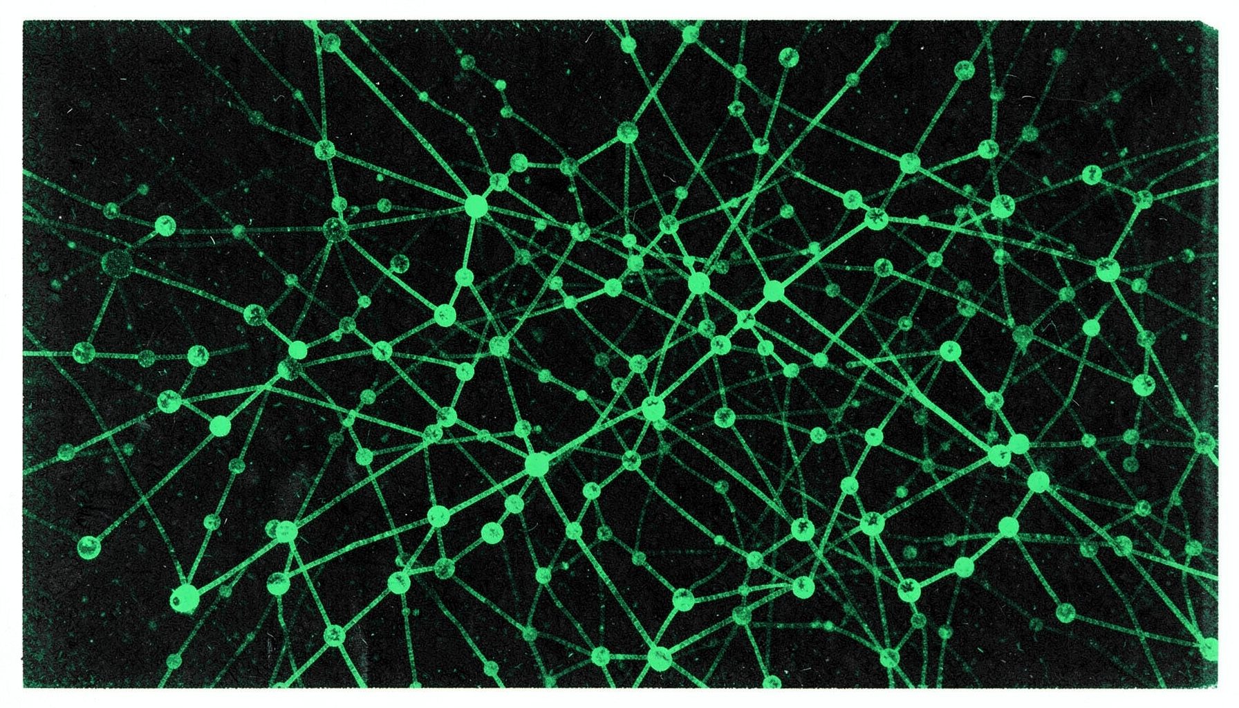 A two-ink risograph print in deep green and black showing a sprawling network of interconnected nodes and glowing pathways, evoking a web of linked streaming portals against a dark backdrop.